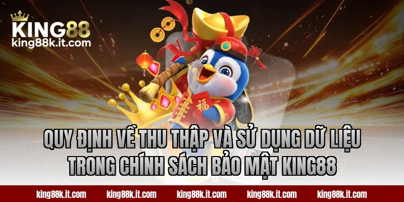 Quy định về thu thập và sử dụng dữ liệu trong chính sách bảo mật king88