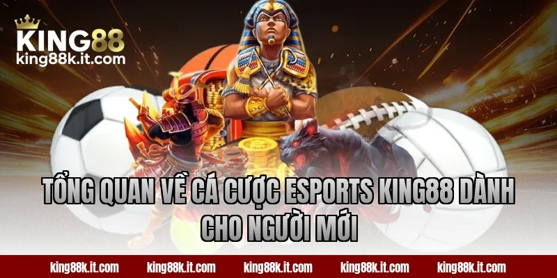 Tổng quan về cá cược Esports King88 dành cho người mới